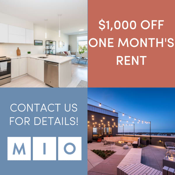 $1,000 Off one month's rent, contact us for details